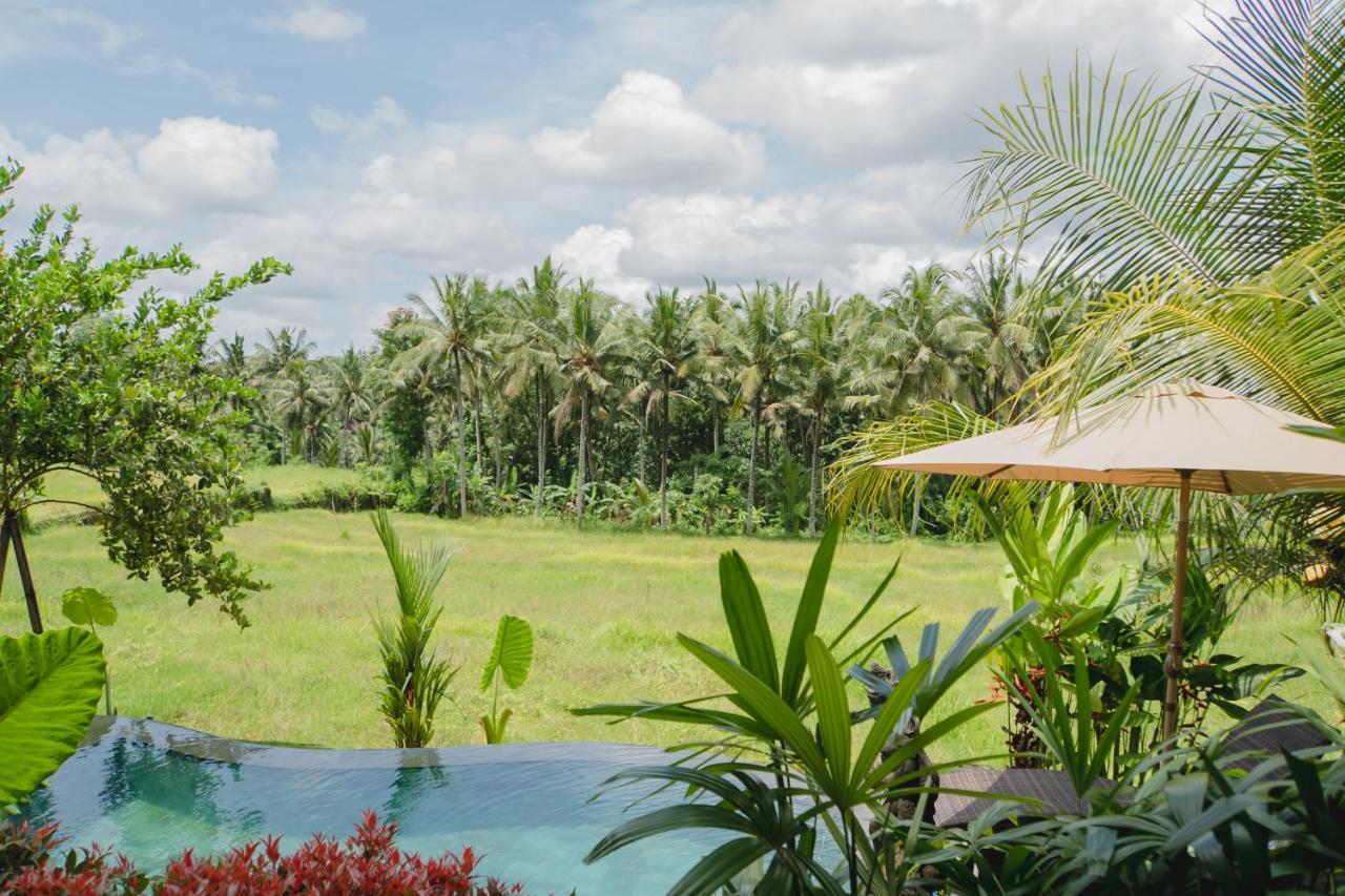 Mancur Guesthouse Ubud  Luaran gambar
