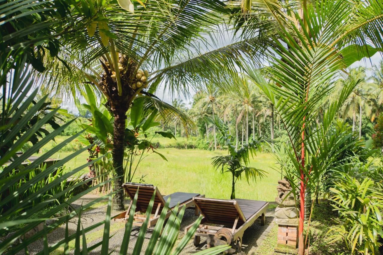 Mancur Guesthouse Ubud  Luaran gambar