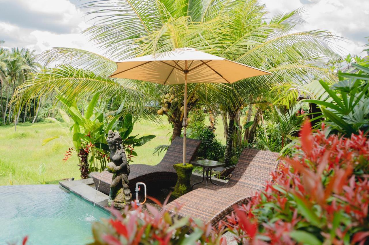 Mancur Guesthouse Ubud  Luaran gambar