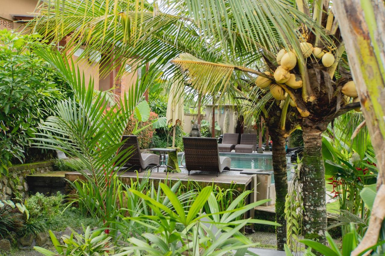 Mancur Guesthouse Ubud  Luaran gambar