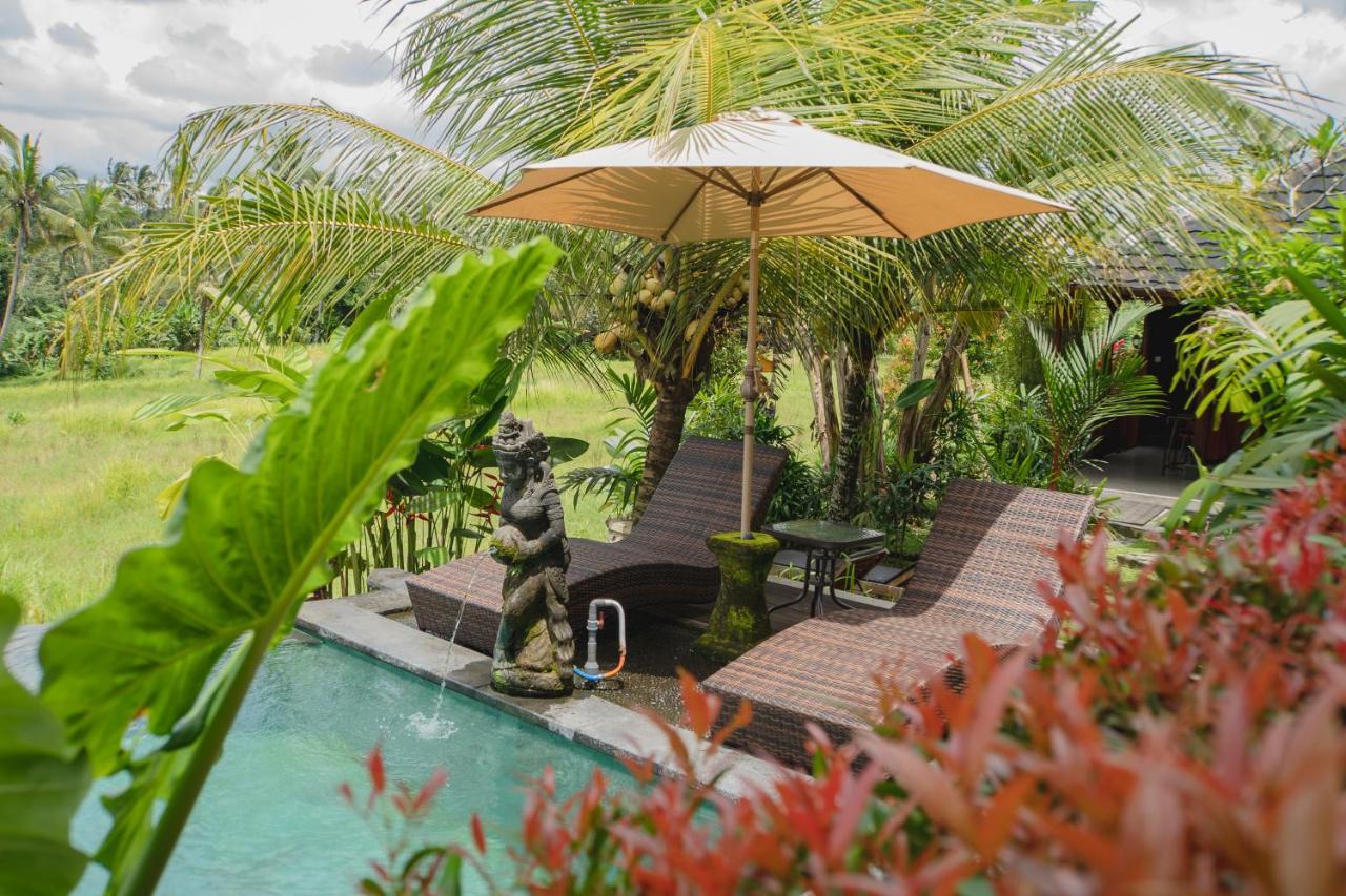Mancur Guesthouse Ubud  Luaran gambar