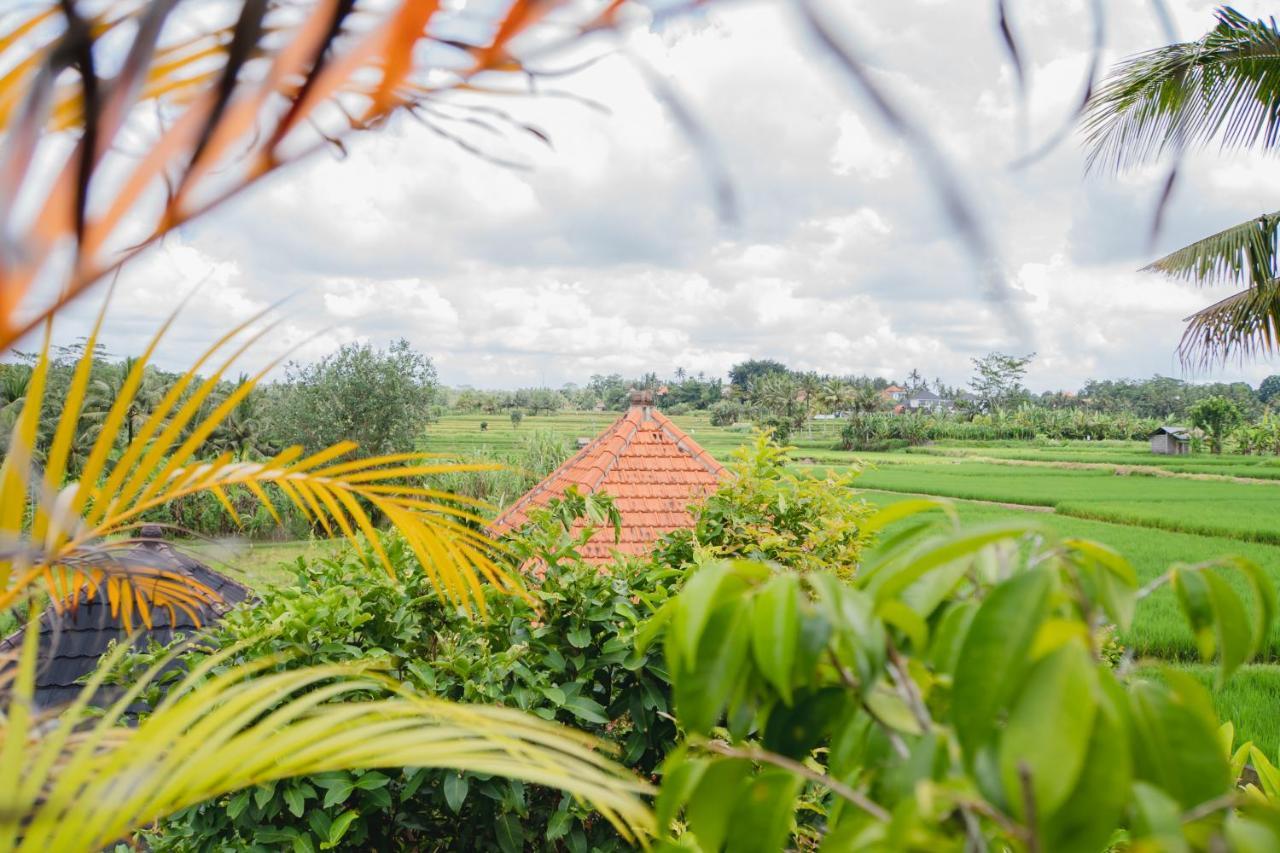 Mancur Guesthouse Ubud  Luaran gambar